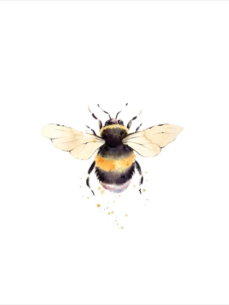 a painting of a bee on a white background