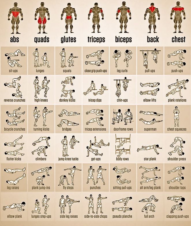 a poster showing the different exercises to do in an exercise program for men and women