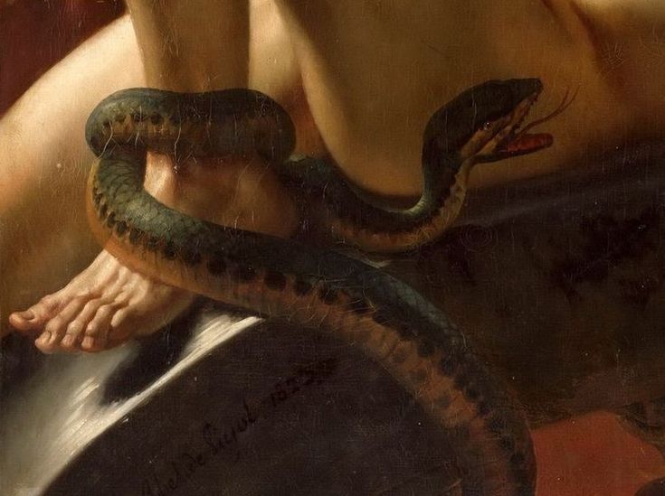 a man is holding a snake in his hand