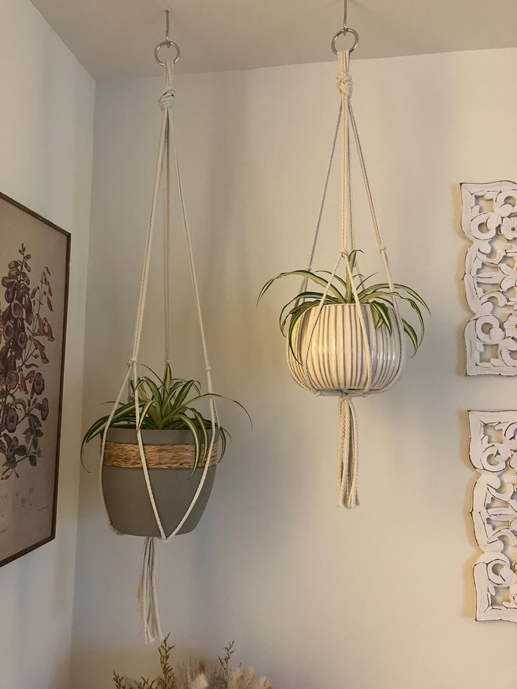 two hanging planters with plants in them