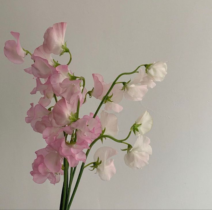 a vase filled with pink and white flowers