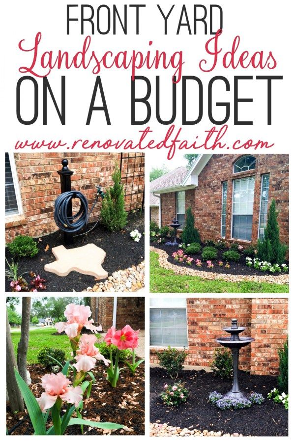 the front yard landscaping ideas on a budget with pictures of flowers and plants around it