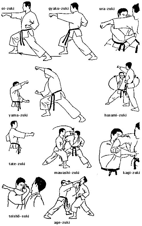 an instruction manual on how to use the martial technique for beginners, including karate