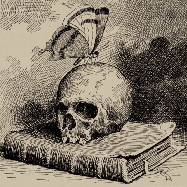 a skull sitting on top of an old book with a butterfly flying over its head