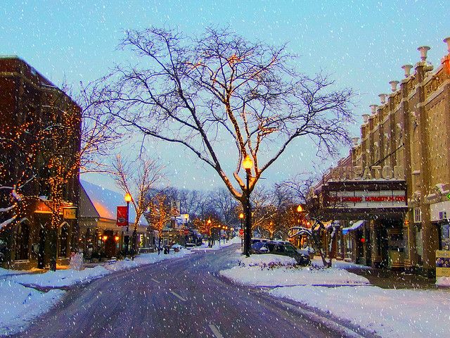 a snowy street lined with buildings and trees covered in snow at dusk, during the day