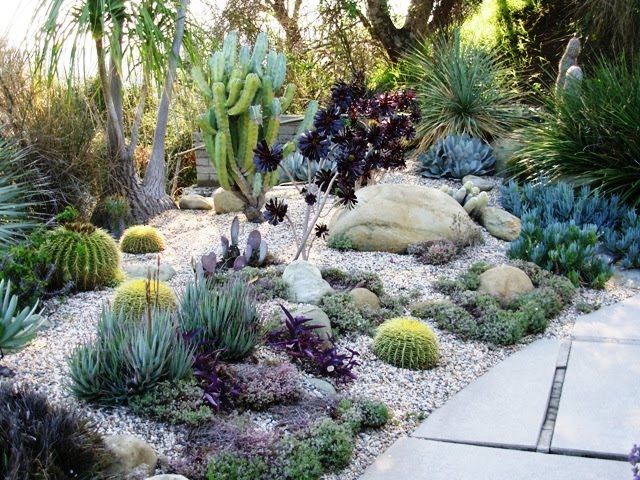 a garden filled with lots of different types of plants and rocks on top of each other