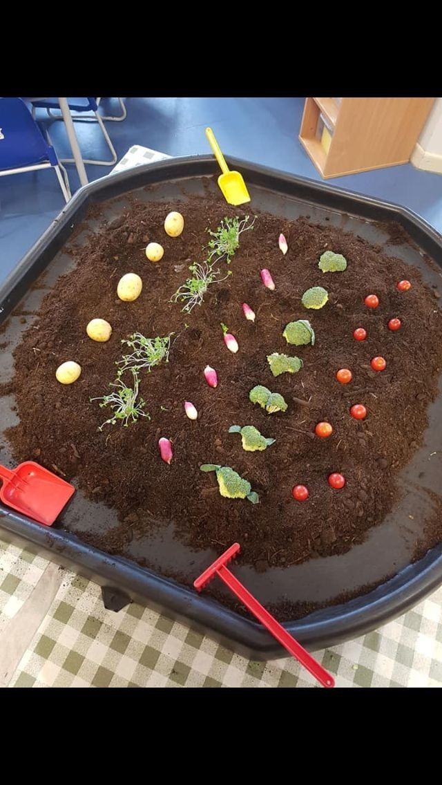 a tray filled with dirt and plants on top of a table