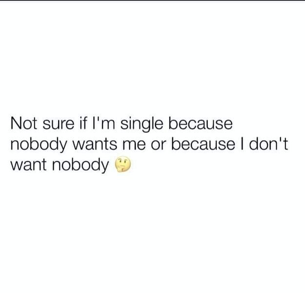 the text says, not sure if i'm single because nobody wants me or because i don't want nobody