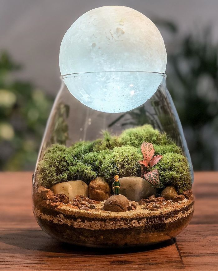 a glass vase filled with moss and rocks on top of a wooden table next to a plant