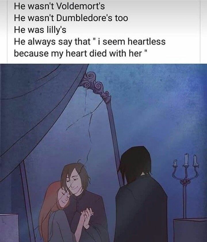 Harry Potter Theories, Snape Always, Snape Fan Art, Snape And Lily, Always Harry Potter, About Harry Potter, Snape Harry Potter, Snape Harry, Lily Potter