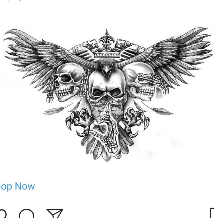 a drawing of two skulls with wings on their head and the words stop now above them