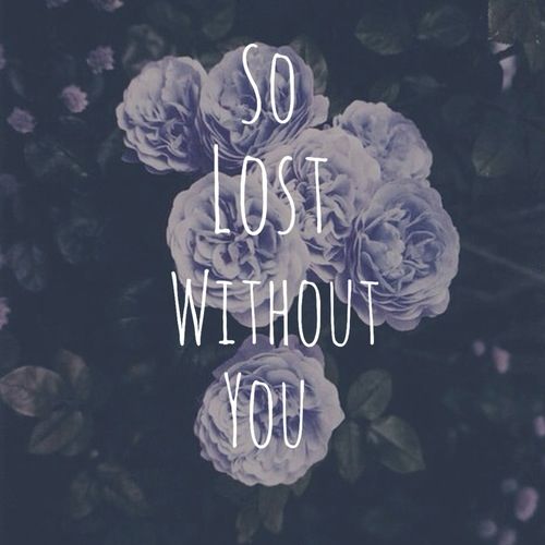 the words so lost without you are surrounded by purple flowers and leaves on a dark background