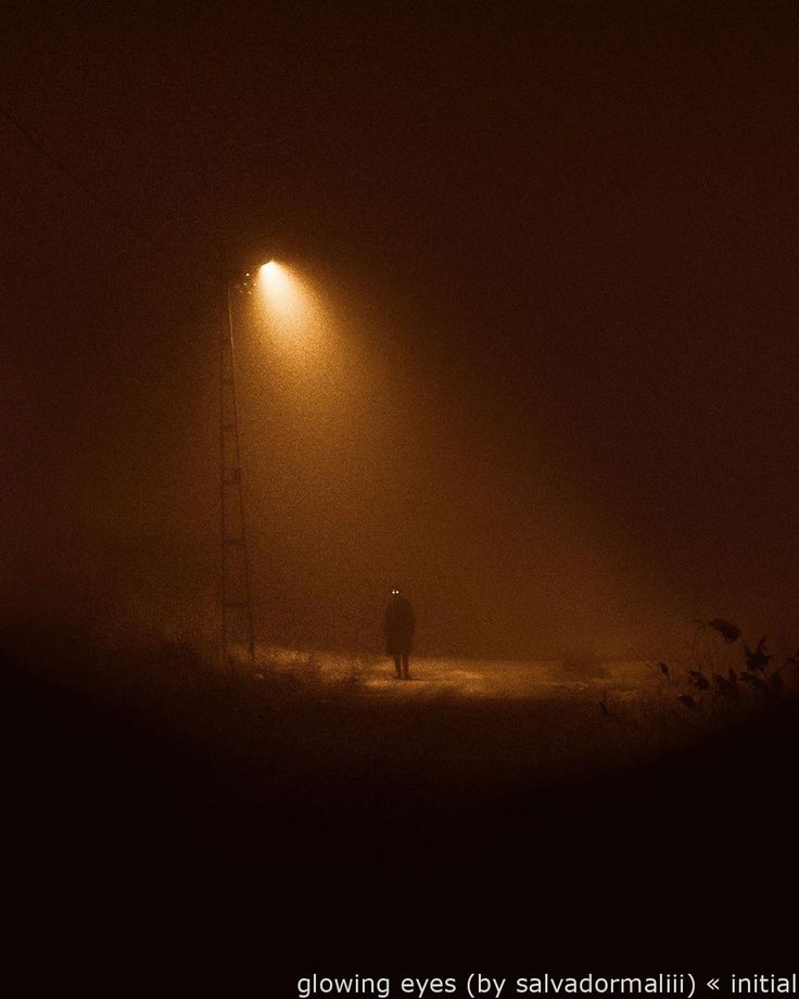 a person standing under a street light on a foggy night