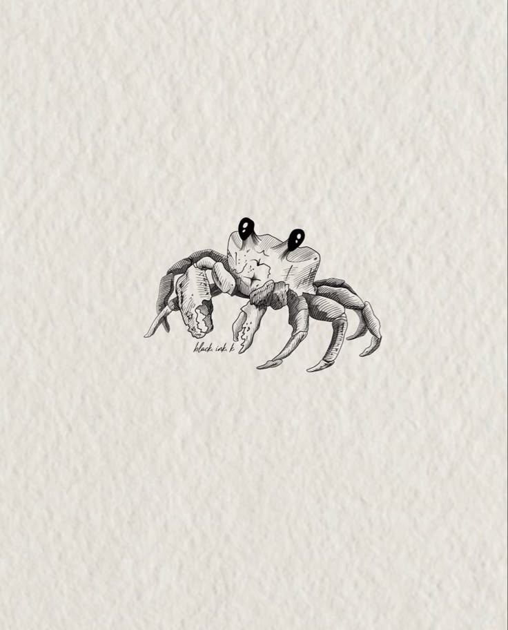 a drawing of a crab on white paper