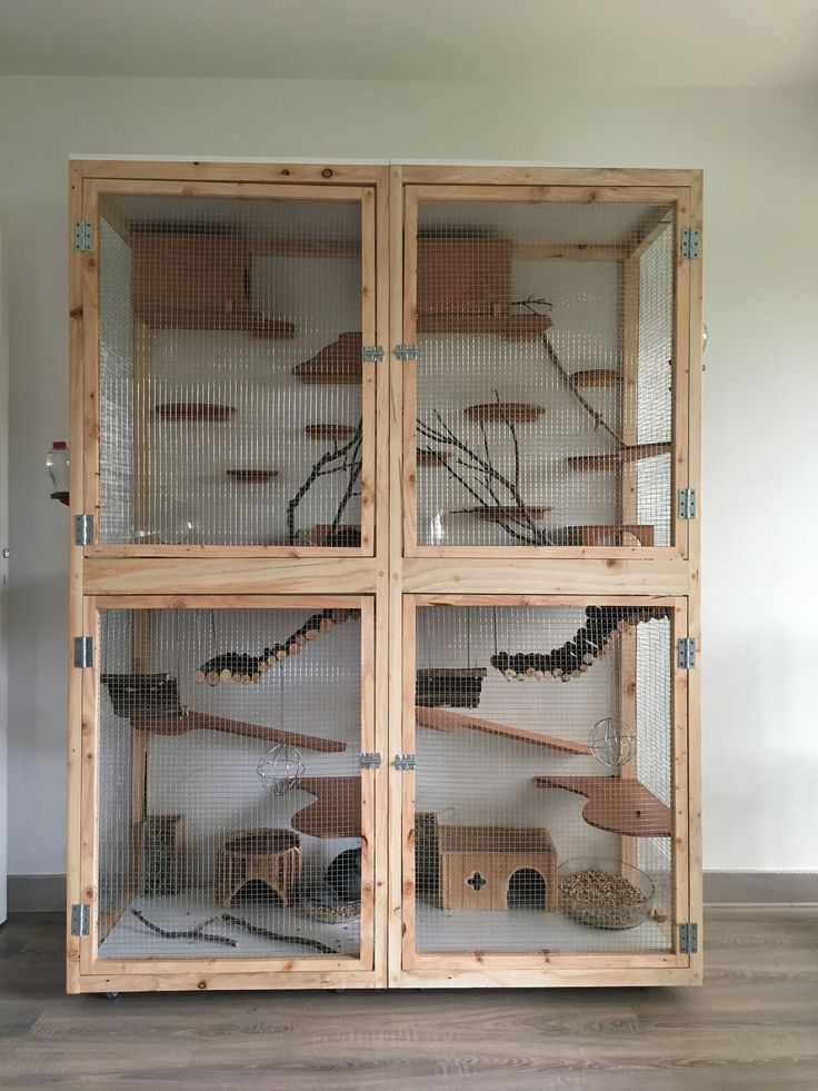 a large wooden cage filled with lots of birds and other things on top of a hard wood floor