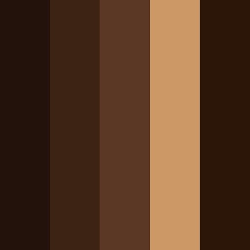 a brown and black color palette