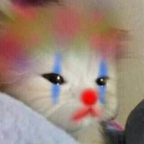 a white cat with blue and red stripes on it's face