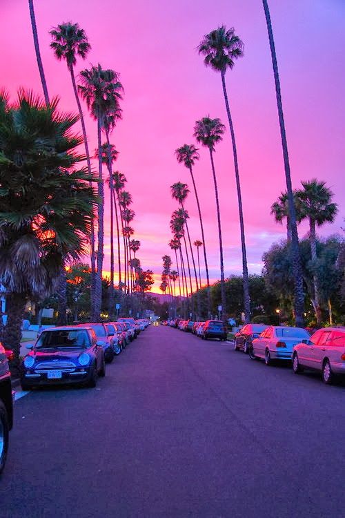 an image of cars parked in front of palm trees