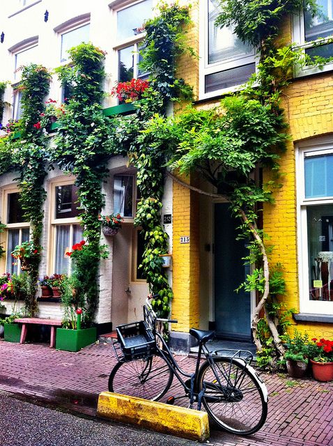 a bike parked in front of a yellow building with plants growing on it's side