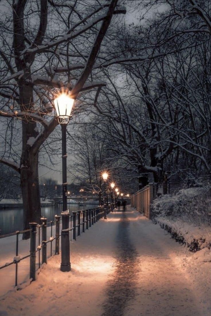 a street light is lit up on a snowy night with no one in the scene