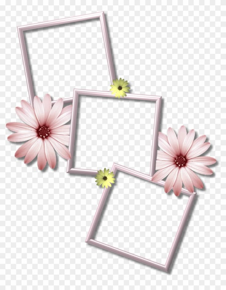 three white frames with pink flowers on the bottom and one yellow flower in the middle