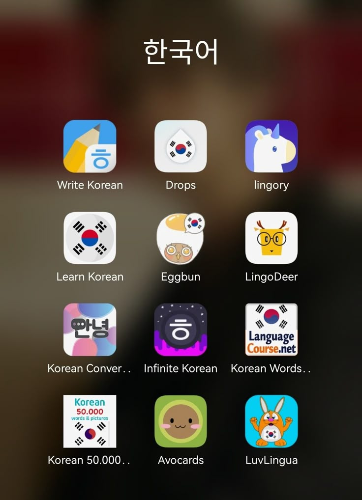 an iphone screen with korean icons on it