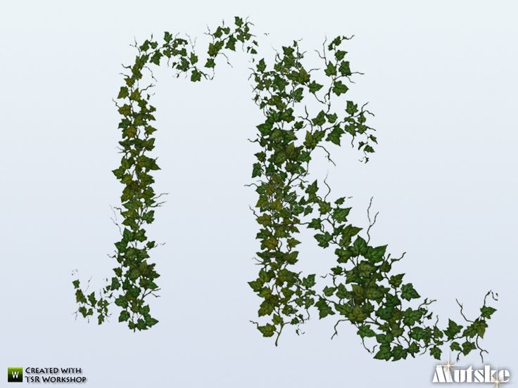 the letters n are covered with green leaves