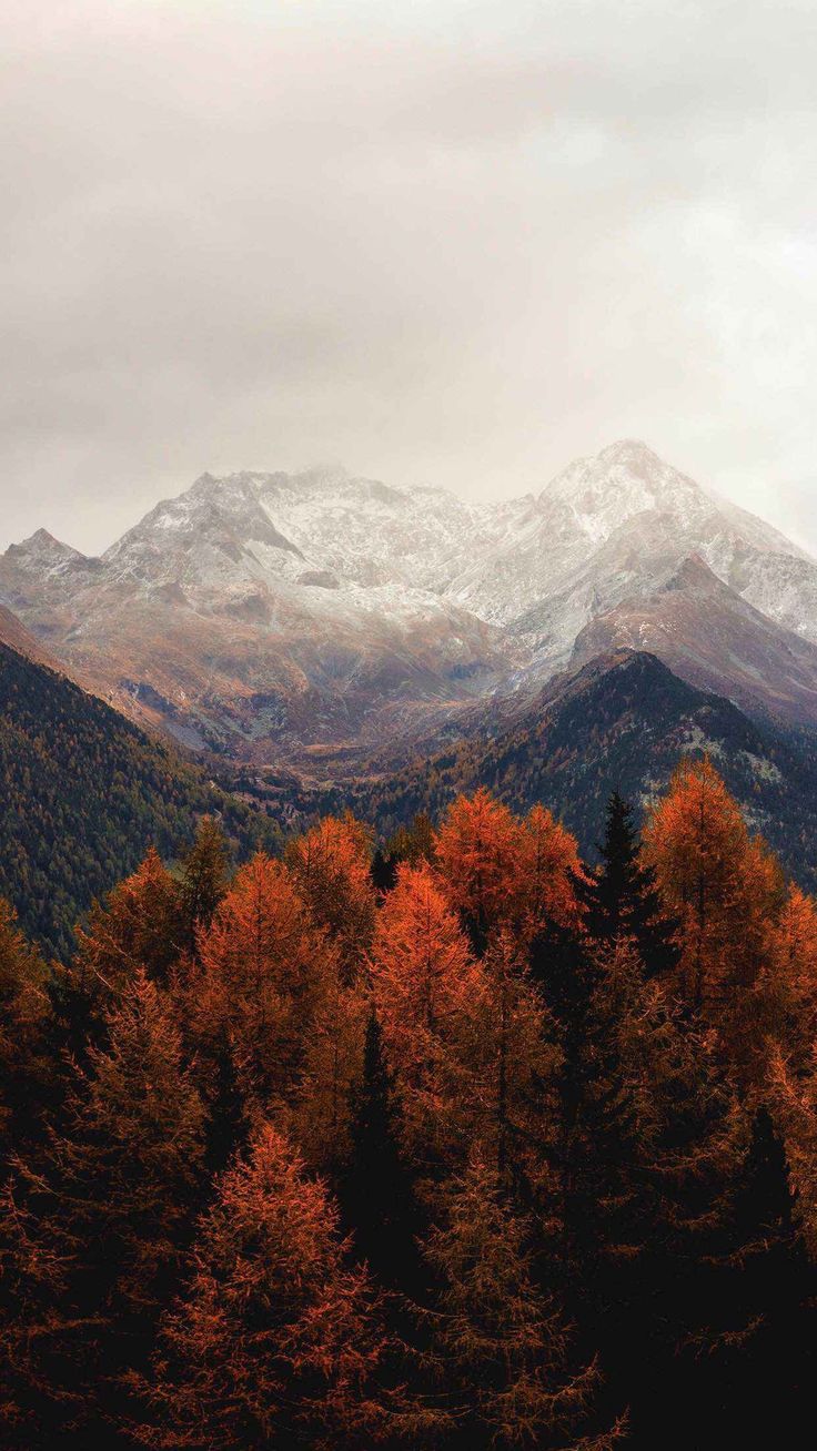 the mountains are covered in snow and trees with orange leaves on them, as well as white capped peaks