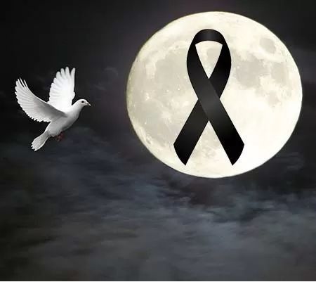 a white dove flying in front of a full moon with a black ribbon on it