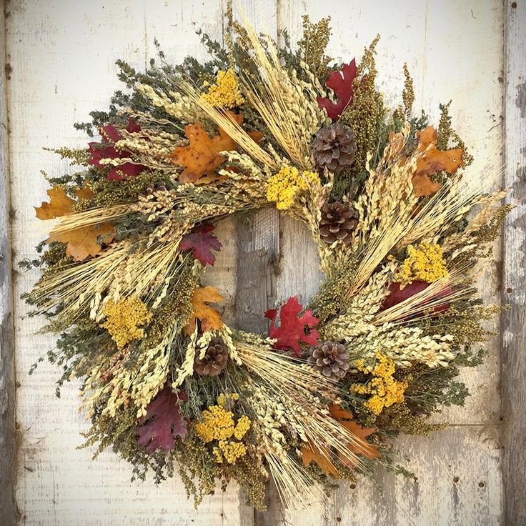 Autumn Harvest Wreath - Creekside Farms Gorgeous yarrow, pine cones, broom corn, grains, sweet Annie & leaves dried wreath 18 Dried Yarrow, Harvest Festivals, Herb Wreath, Broom Corn, Classic Wreath, Willow Wreath, Fall Thanksgiving Wreaths, Dried Wreath, Homemade Wreaths