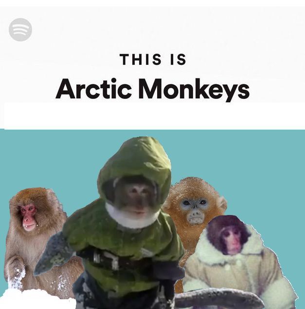 this is arctic monkeys on the cover of an advertiser's book,