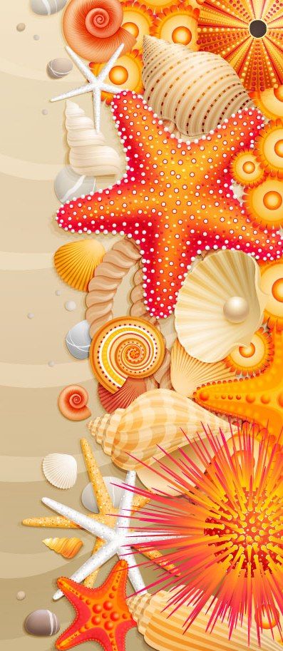 an illustration of seashells and starfish on the beach with sand in the background