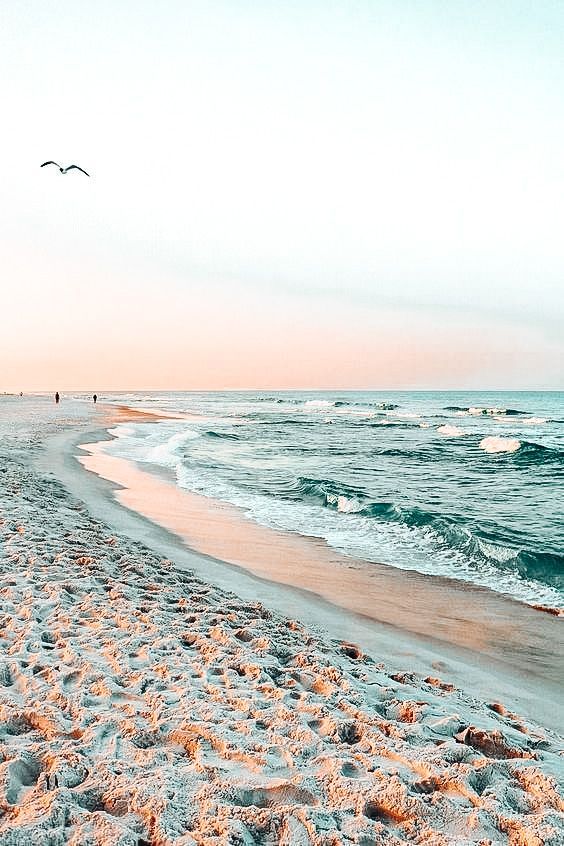 two birds flying over the ocean on a sandy beach with footprints in the sand and waves