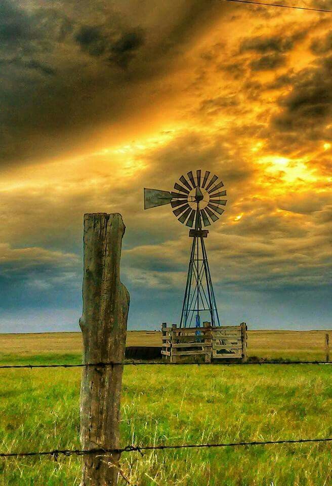 an old truck parked in front of a windmill on the side of a farm field