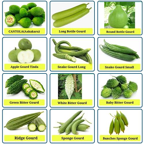 many different types of vegetables and their names