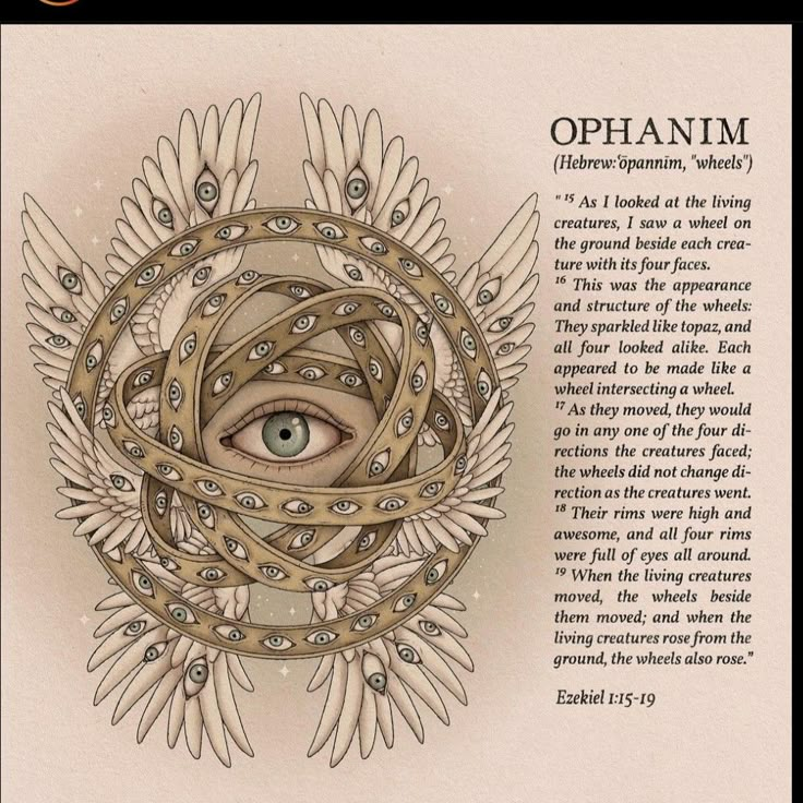 an open eye surrounded by wings with the words ophanum written in white ink