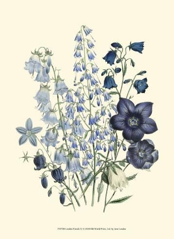 an illustration of blue and white flowers