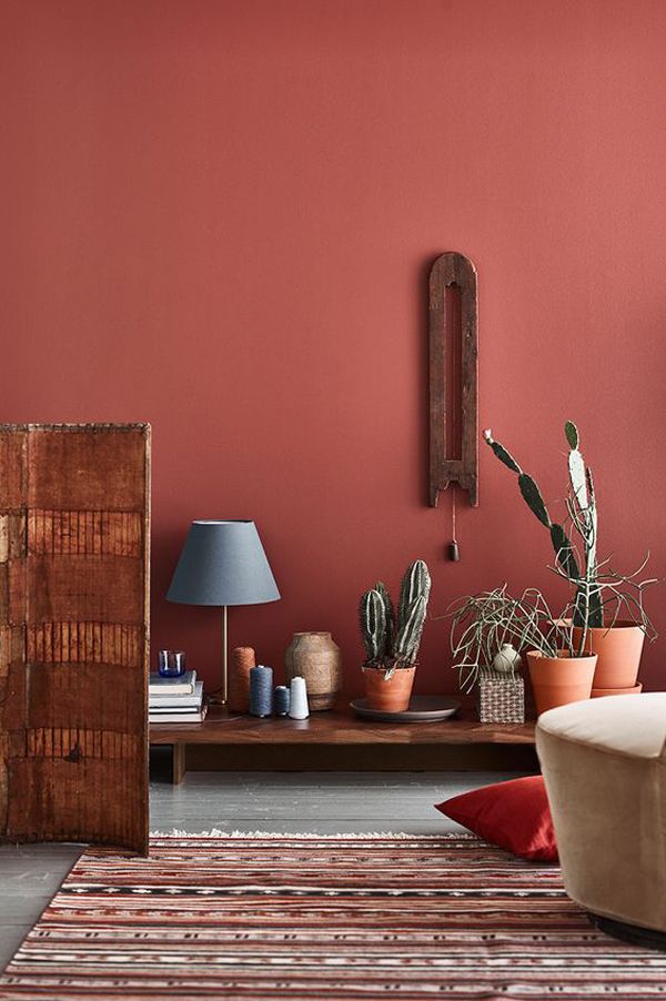 a living room with red walls and plants on the floor, including cacti