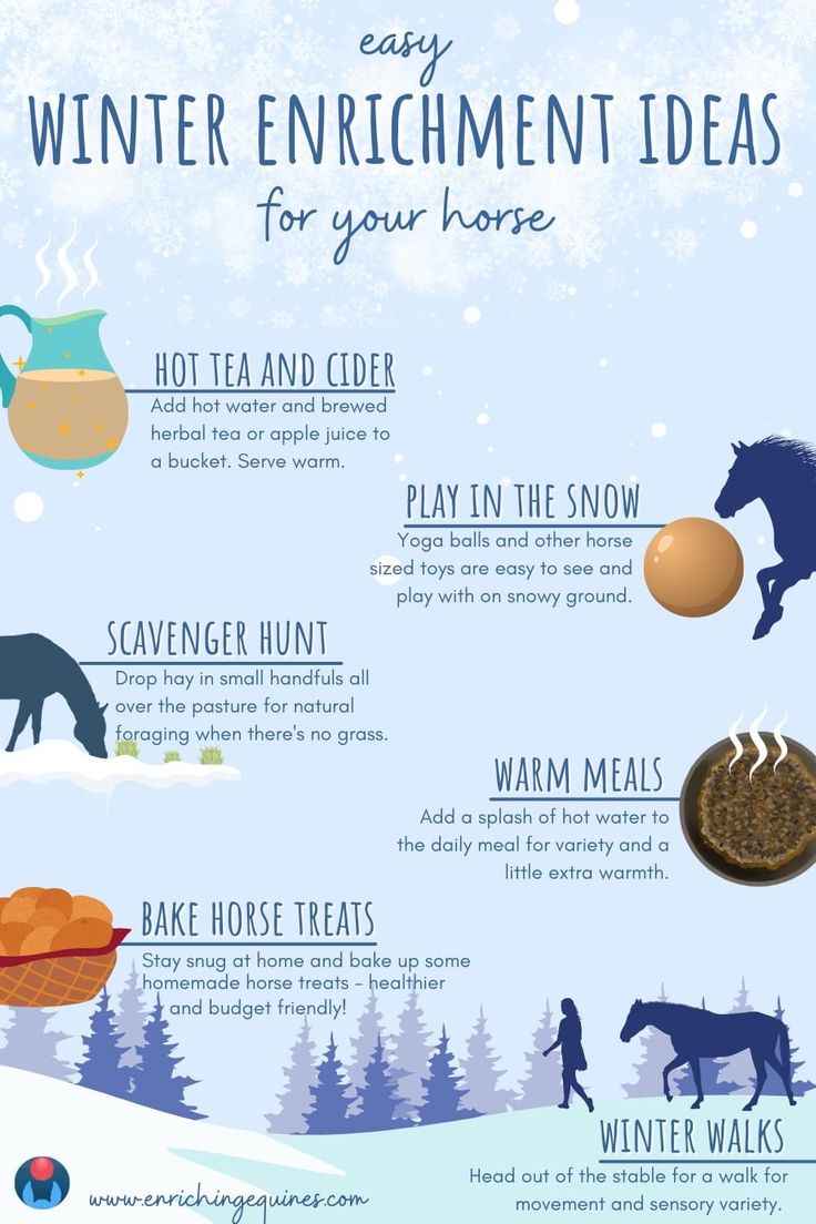 an info sheet describing the benefits of winter enrichment ideas for your horse and how to use them