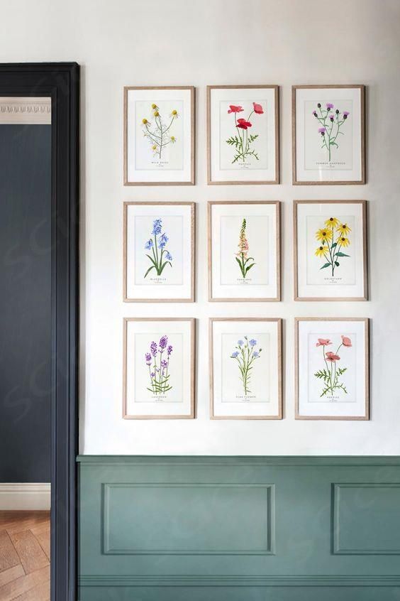 framed flowers are displayed on the wall in front of a green paneled room door