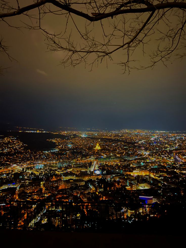 the city lights are lit up in the night sky as seen from atop a hill