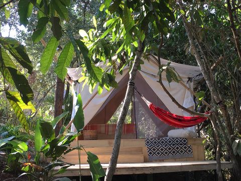 a tent in the woods with a hammock hanging from it's roof