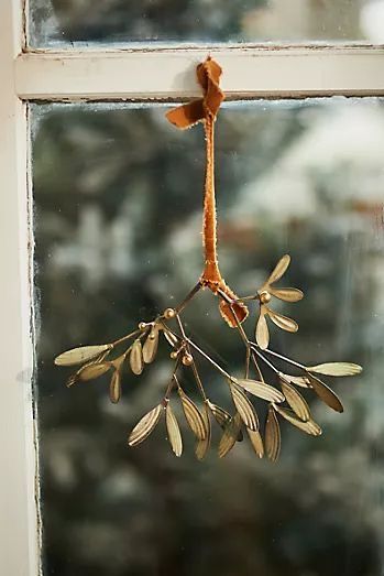 a branch hanging from the side of a window