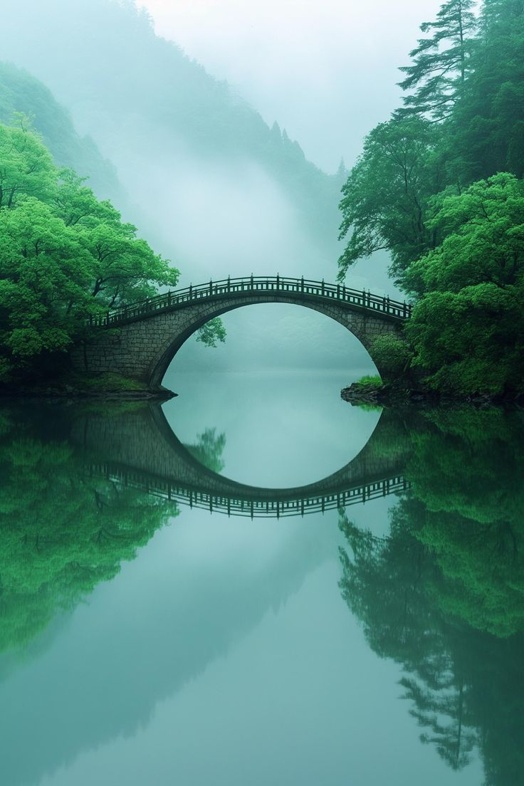 a bridge that is over some water in the middle of trees and foggy sky