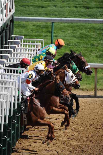 jockeys are riding their horses around the track