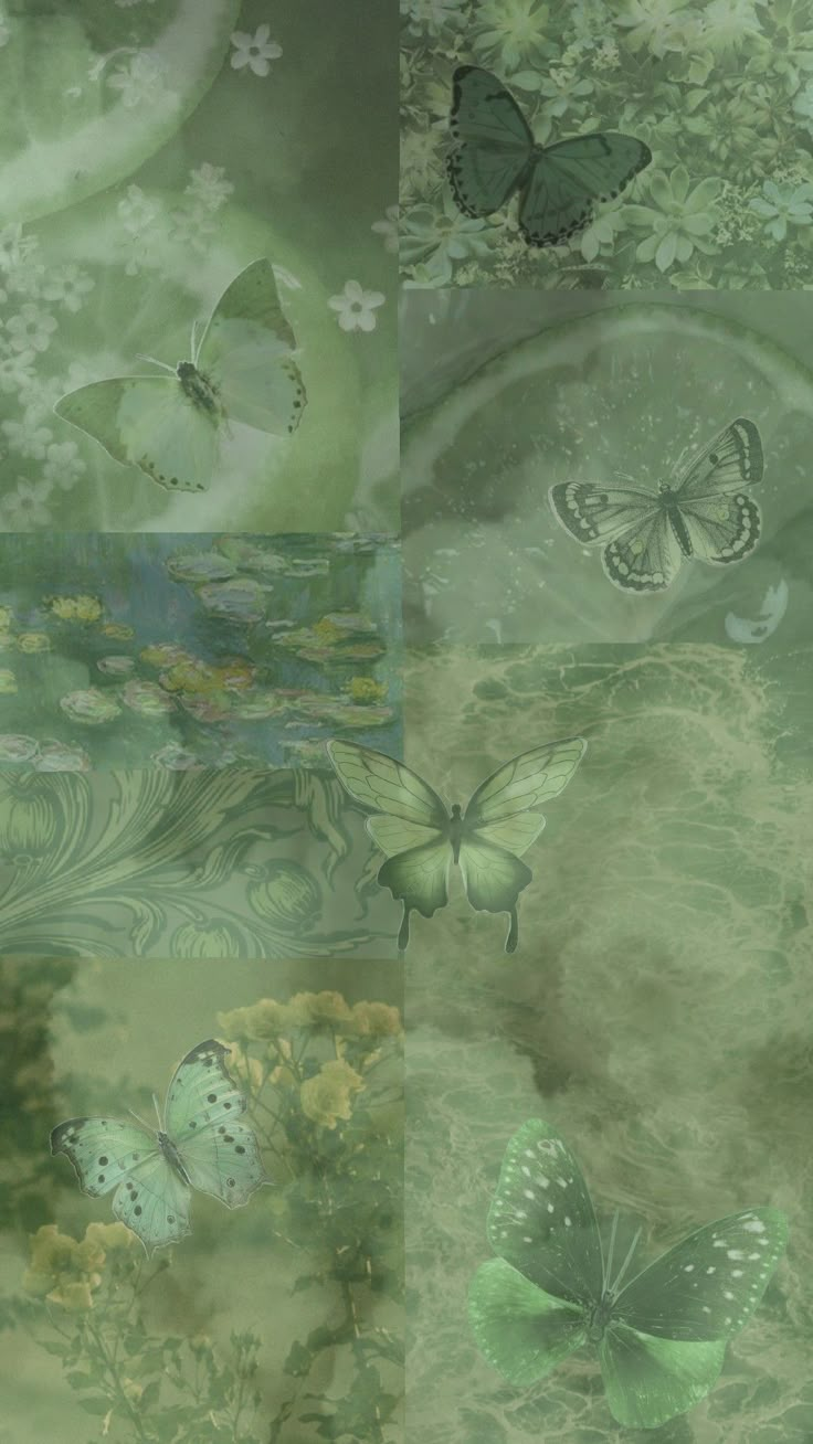 four different images of green butterflies and flowers