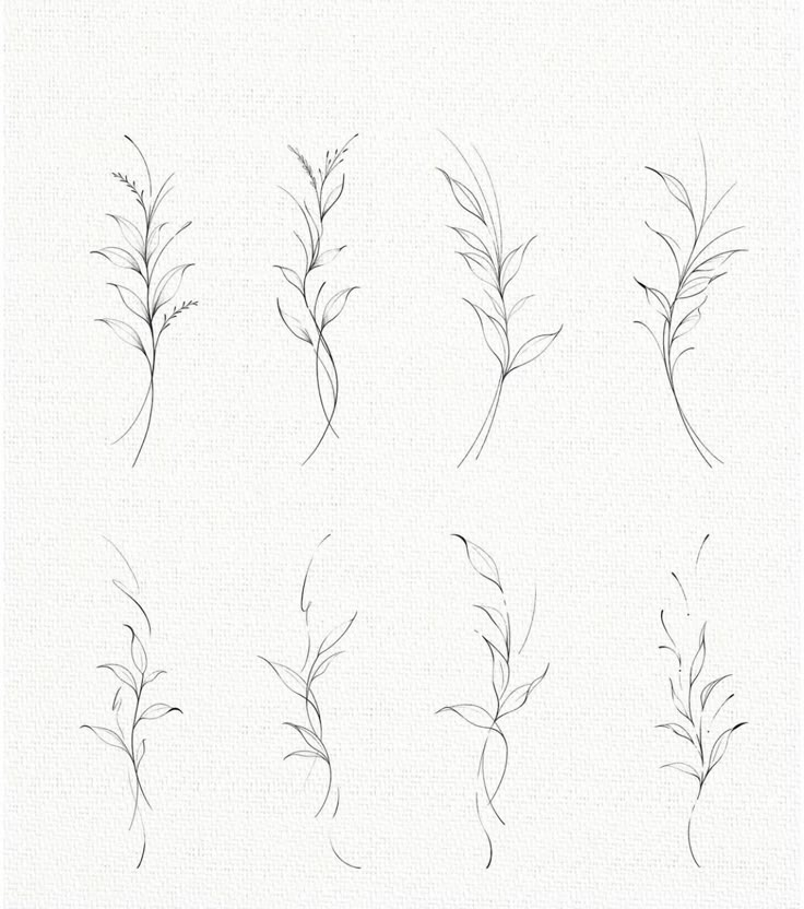 six different types of plants that are drawn in pencil