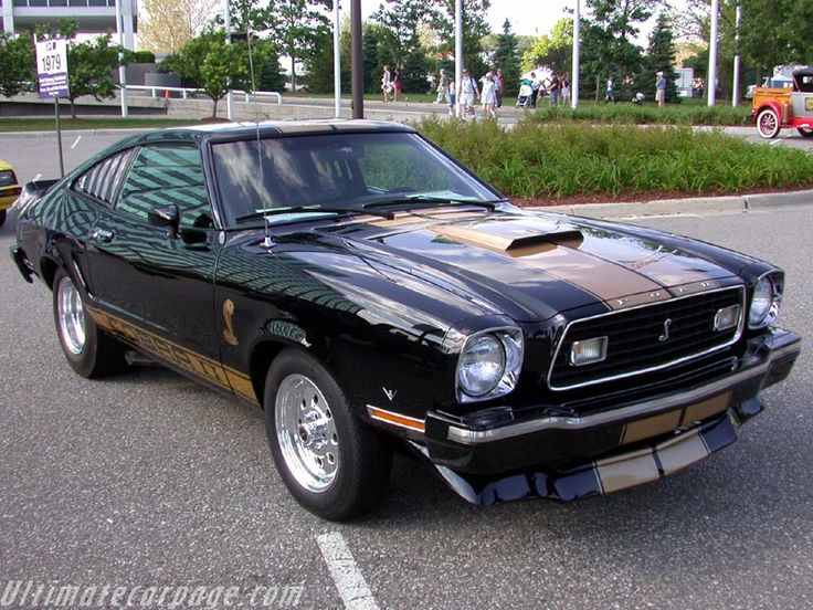 a black mustang with gold stripes parked in a parking lot