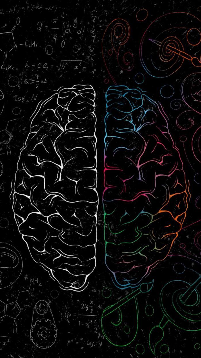 the left and right side of a human brain on a black background with colorful lines