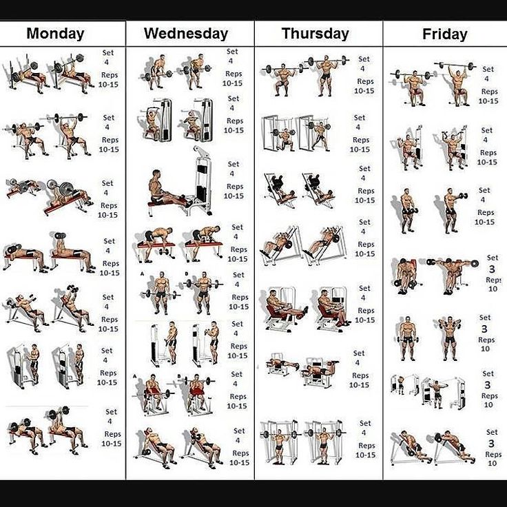 an image of the different exercises to do at the gym